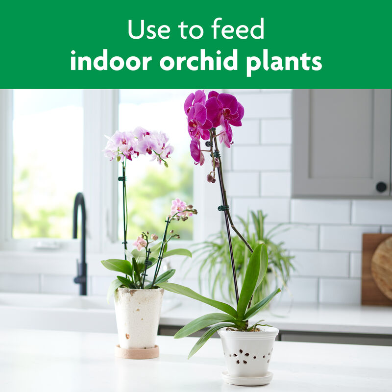 Miracle-Gro&reg; Water Soluble Orchid Food image number null